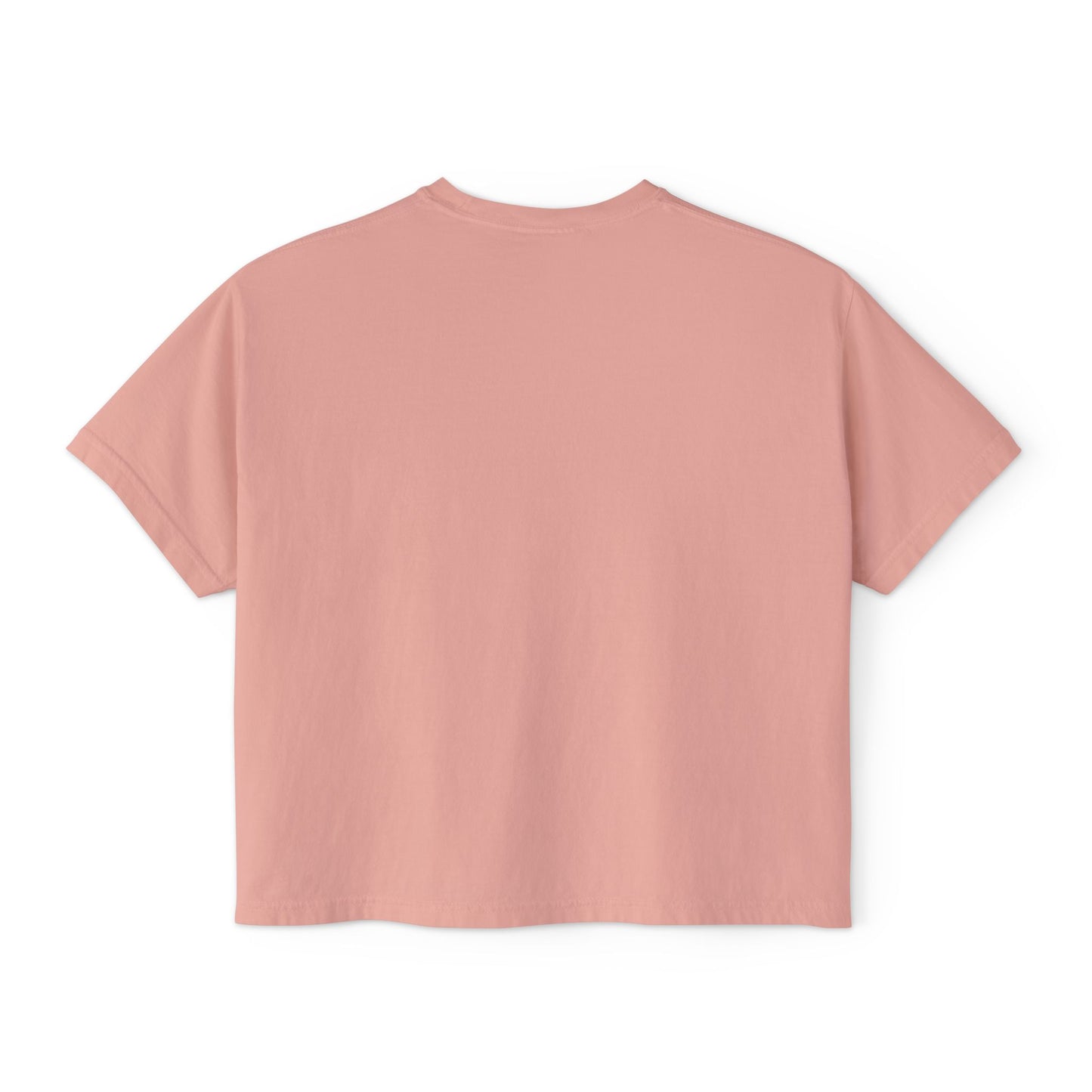 Nirvana Quote Funny Boxy Tee / Friends in my Head / y2k / Hippie