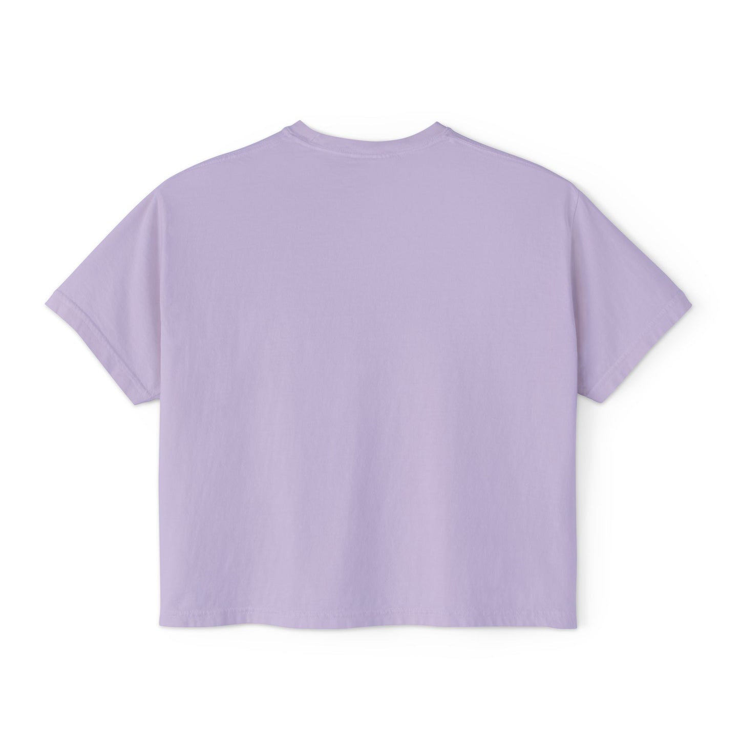 Nirvana Quote Funny Boxy Tee / Friends in my Head / y2k / Hippie